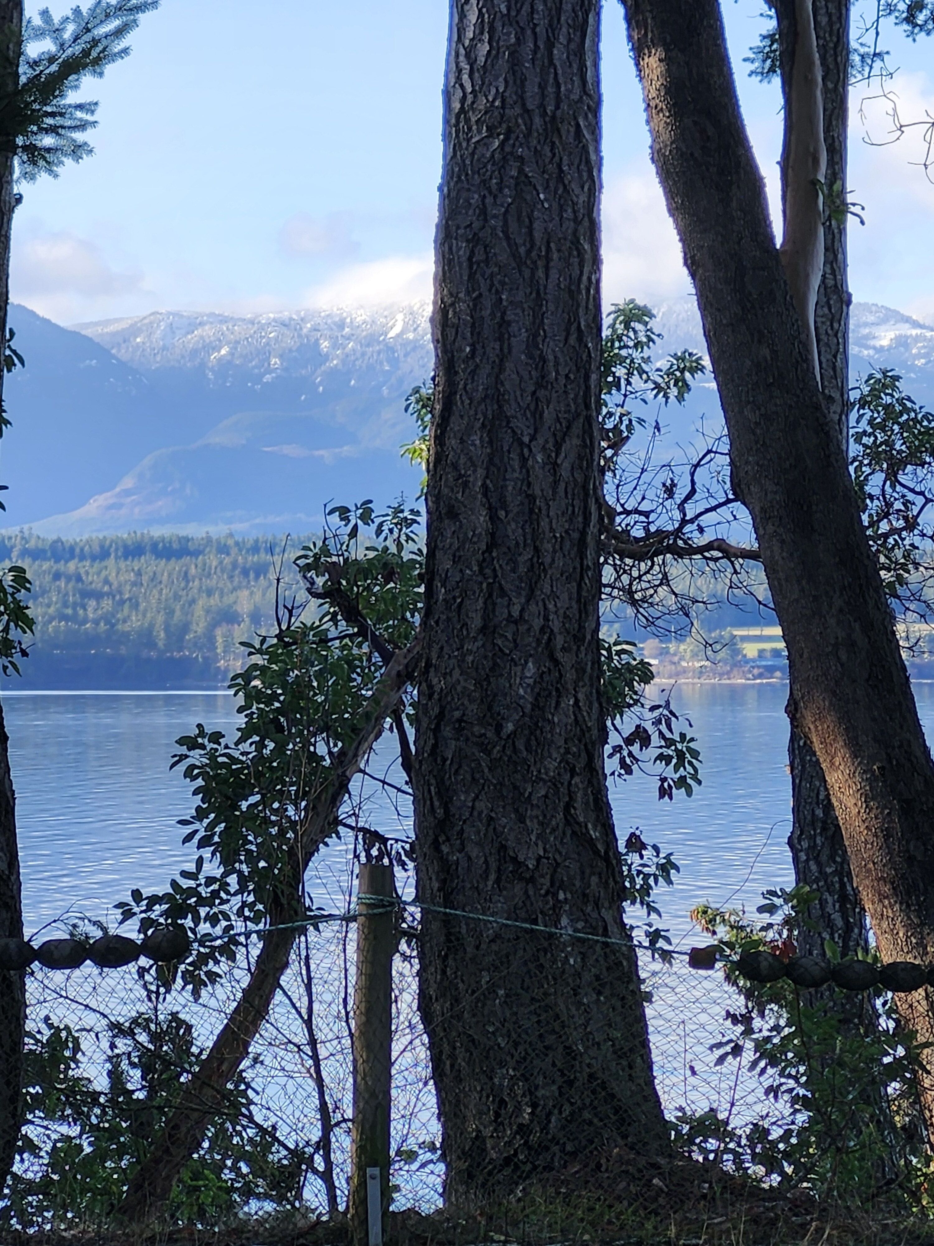 Gallery – Ocean 5