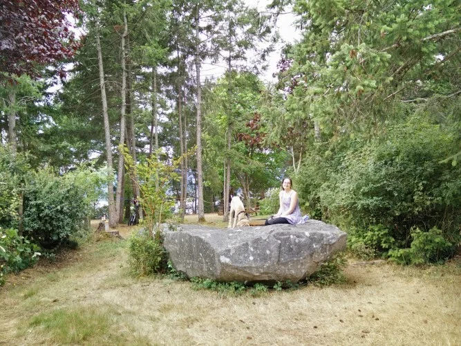 A guest sitting on a boulder among the trees at Bradsdadsland